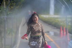 BIB: 
                            <button type="button" onclick="openModal(26544313)" class="btn btn-primary btn-sm float-right btn-popup" data-toggle="modal" data-target=".modal-high-quality">
                        <i class="fas fa-shopping-cart"></i> Add to Cart
                    </button>
                                            <button type="button" onclick="isThisMe(26544313, true)" class="btn btn-success btn-sm float-right btn-popup btn-isme hidden" data-toggle="tooltip" data-placement="bottom" title="นี่คือรูปของคุณใช่ไหม คลิกที่นี่เพื่อเอาเข้าอัลบั้ม">
                        <i class="fas fa-plus"></i> Add to album
                    </button>
                    <button type="button" onclick="isThisMe(26544313, false)" class="btn btn-warning btn-sm float-right btn-popup btn-isnotme hidden">
                        <i class="fas fa-ban"></i> Remove from album
                    </button>